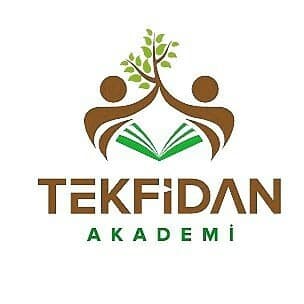 Tekfidan Akademi logosu